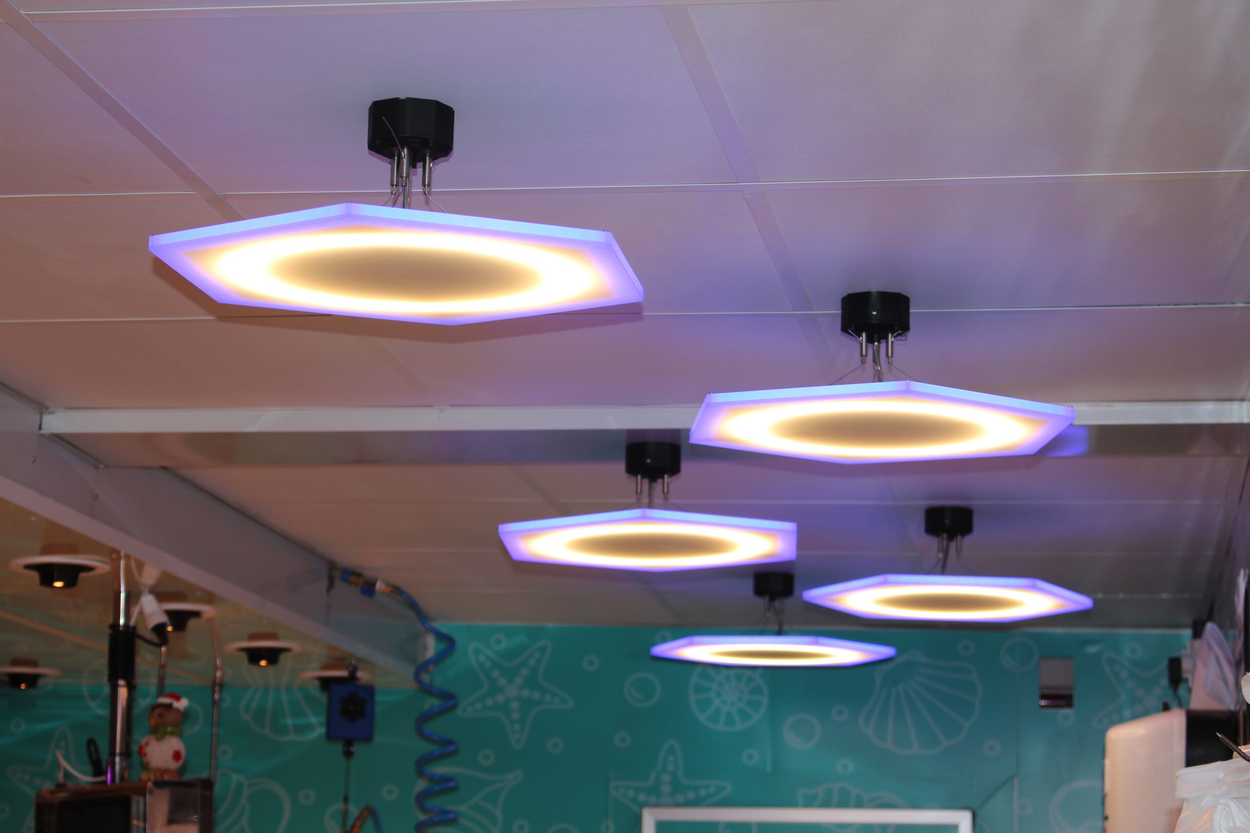 luminaria especial para pescaderías